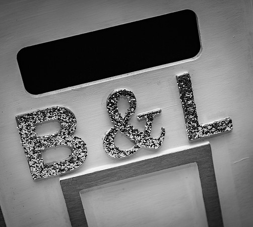 B&L Mono-17
