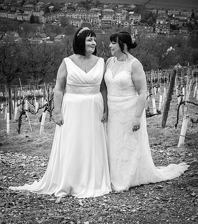 S&S Mono-569