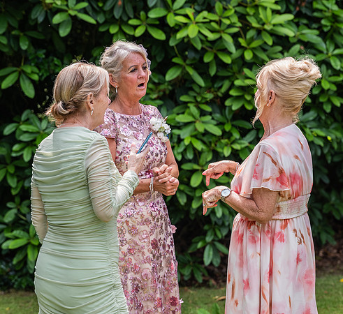K&D-464