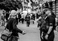 _DSC5947