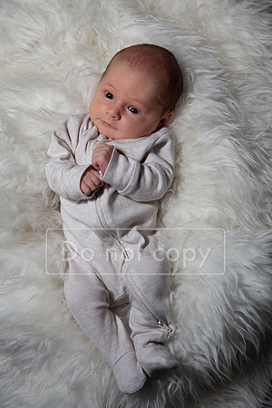 _Z2F1201-91