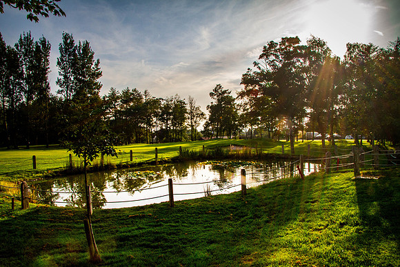 IMG_5344-Edit