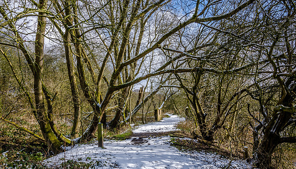 _DSC9739