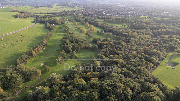 DJI_0181