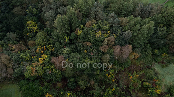 DJI_0045