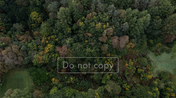 DJI_0046